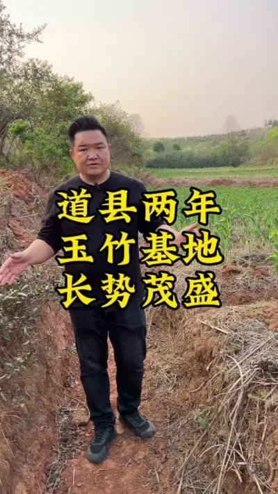 健康的种苗，才能种出高产的玉竹！#玉竹 #种植小技巧 #药材种植 #抖音助农 #农业种植