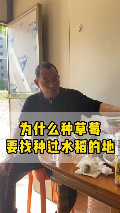 选地种草莓，尽量找种过水稻的田，这样即省了肥料钱，种出来的草莓又漂亮！