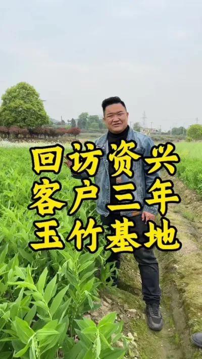 回访资兴三年玉竹基地！ #种植小技巧 #玉竹 #抖音助农 #服务三农支持三农 #中药材