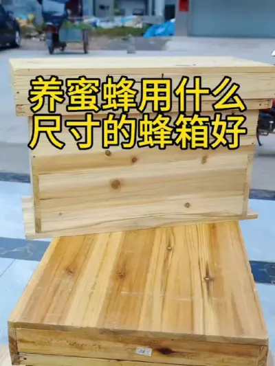 养蜜蜂用什么尺寸的蜂箱好 #五脾蜜蜂蜂箱#成品蜂箱 #蜂箱巢框 #中蜂专用蜂箱全套