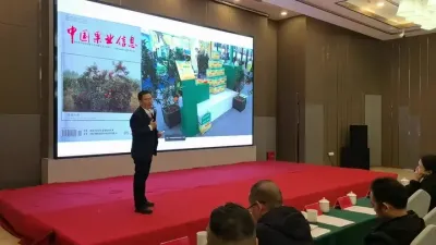 柑桔品种选择的思路 #柑桔新品种#李老师说柑桔#春见#爱媛果冻橙 #𤆵𤆵柑