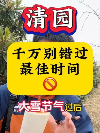 千万别错过果树清园的最佳时间#果树清园 #病虫害防治 #柑橘种植 #果树管理 #果树种植