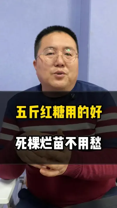 五斤红糖下地，死棵烂苗根腐病全都能解决 #水肥发酵 #发酵水肥 #红糖发酵 #农业种植 #肥料知识