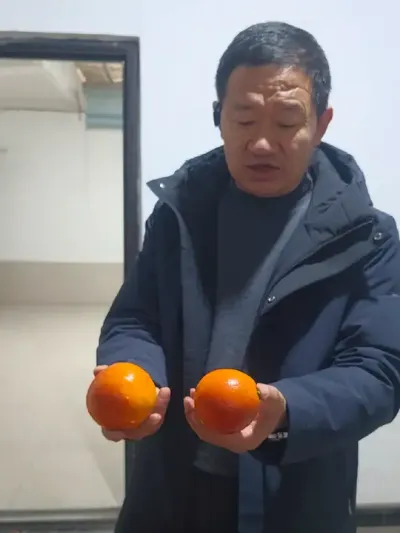 我为眉山柑桔代言 #时光记忆 #眉州血橙 #李永安说柑桔 #我为眉山柑桔代言 @我为眉山柑橘代言 李永安 @喜橘农业