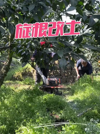 改土进行时#原创视频 #勤劳的农村人 #我的乡村生活 #新农人计划2025 #抖音助农