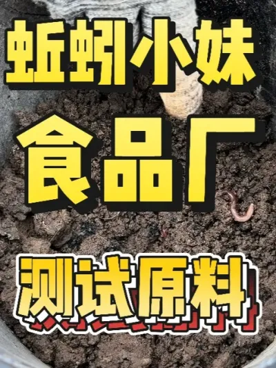 火腿肠工厂的废料，小妹来测试喂蚯蚓后的情况#蚯蚓养殖 #三农 #农村创业