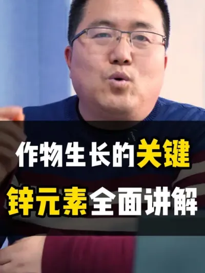 作物生长的关键元素，锌元素全面讲解 #锌肥 #锌肥的正确使用方法 #锌肥的作用 #肥料知识 #龙岳农科