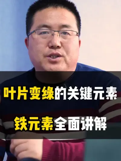 叶片变绿的关键元素，铁元素全面讲解 #肥料知识 #铁肥 #铁肥怎么选 #龙岳农科 #种植小技巧
