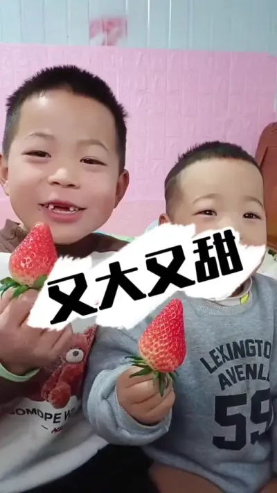 草莓又大又甜 你会像我一样，一直看小孩子吃到最后吗？#草莓种植 #三农种植 #草莓 #农业技术 #抖音助农