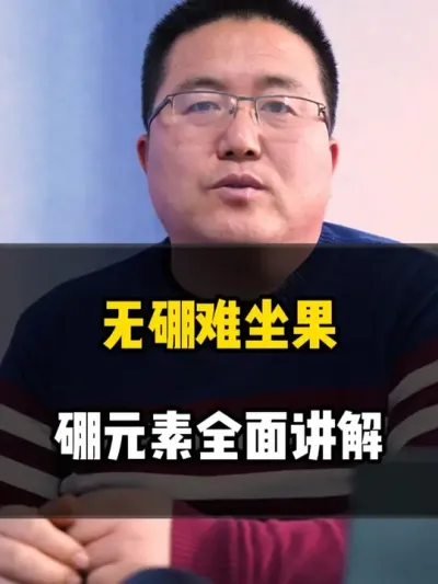 无硼难坐果，硼元素全面讲解 #硼肥 #硼肥的作用及功能 #硼肥使用时间 #肥料知识 #农业种植