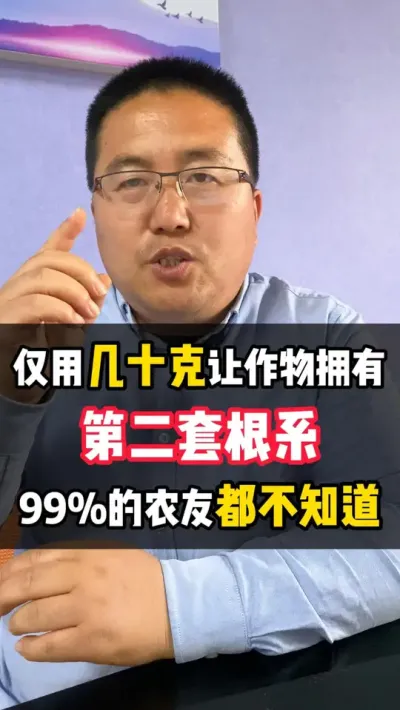 仅用几十克，就让作物拥有第二套根系，99%农友不知道 #菌根真菌 #菌种 #真菌 #根系 #am菌