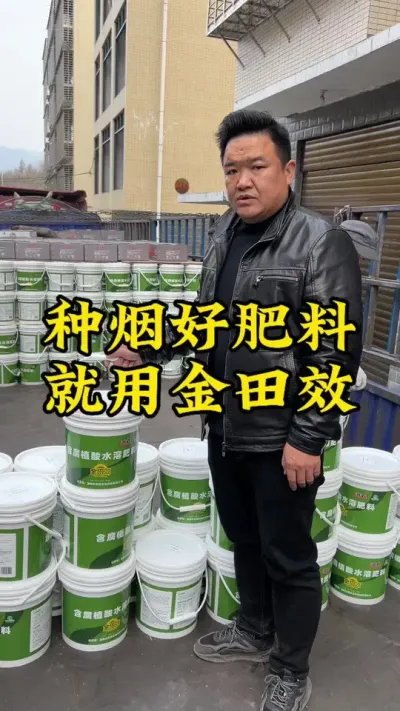 种烟好肥料，就用金田效！ #种植小技巧 #抖音助农 #2024新农人计划 #烤烟 #金田效