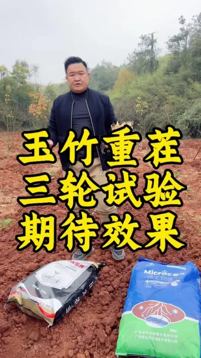 中药材种植，大胆尝试，小心验证，虚心学习，成就未来！ #2024新农人计划 #玉竹 #药材种植 #种植小技巧 #中药材