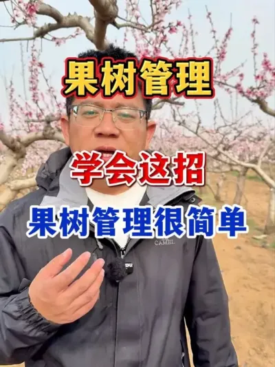 果树只开花不结果怎么办？ #分享果树种植管理技术   #果树种植 #果园管理   #果树高产