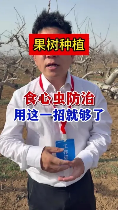 果树食心虫轻松防治。 #果树种植 #三农   #果园管理   #果树食心虫   #农业种植