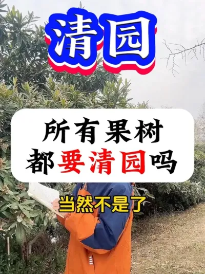 12月，所有果树都要清园吗#果树清园#病虫害防治 #果树种植 #果树管理 #柑橘种植