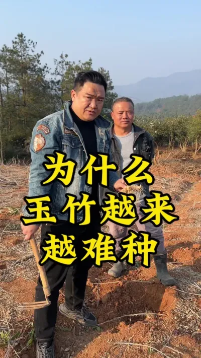 种植玉竹，预防大于治疗！
#药材种植 #玉竹 #种植小技巧 #抖音助农 #2024新农人计划