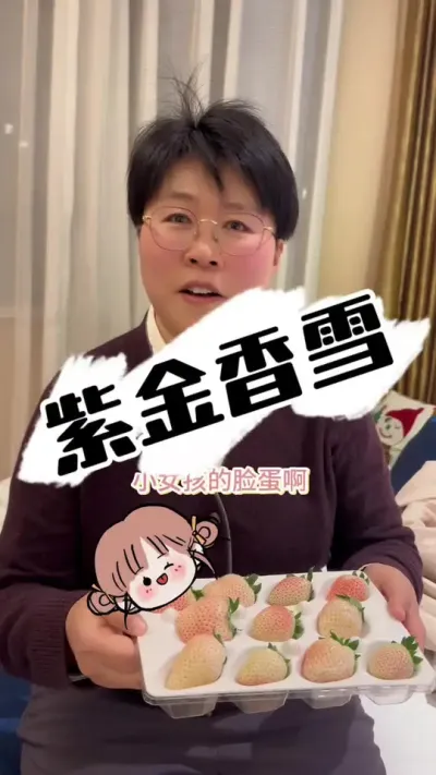 紫金香雪好品种 草莓新品种，江苏省农科院，紫金香雪一起来看看它的特性#草莓种植 #草莓采摘园 #草莓种植基地 #草莓品种 #草莓熟了