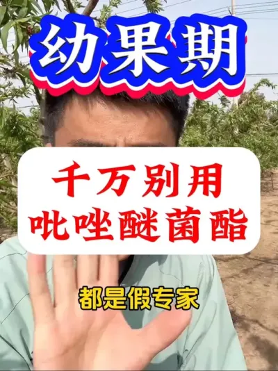果树幼果期，千万别用吡唑醚菌酯！#病虫害防治#果树种植#果树管理 #果树种植技术交流 #果园管理