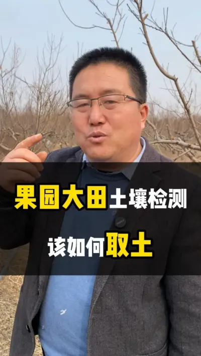 果园大田土壤检测，如何取土 #土壤检测 #测土 #测土配肥 #农业种植 #测土配方施肥