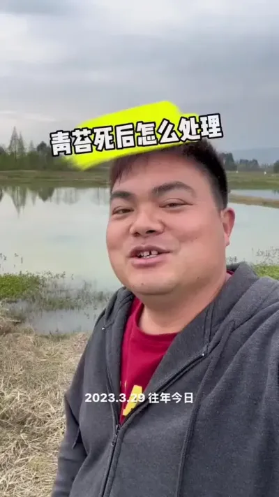 先用东西杀青苔，再用东西解毒，最后再用东西改底，接着再去肥水。。。就不能动动手吗#青苔死了怎么办 #矿源黄腐酸钾 #如何处理青苔