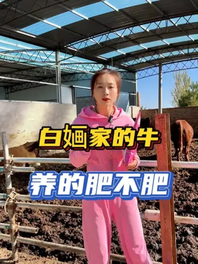 看看咱家的牛，想养成这样子么！ #乡村守护人       #来抖音学农技        #农村创业养殖    #兽医    #我的乡村生活