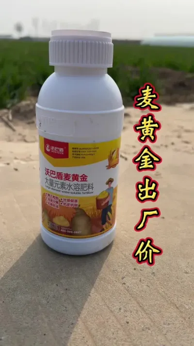 麦黄金 买黄金出厂价，点击入手。#小麦增产增收叶面肥 #小麦增产 #小麦高产技术 #小麦增产增收 #小麦种植管理技术