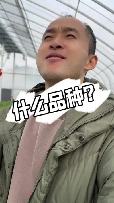 什么品种这么享受？ 看我销魂的表情、假不假？哈哈哈，猜猜这个品种？#草莓种植 #草莓园 #种草莓 #草莓新品种 #草莓熟了