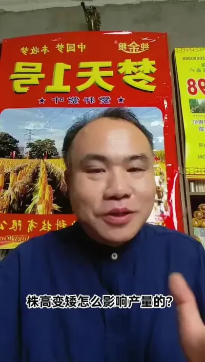 株高变矮互相遮光、透气性超差、拥挤热量不易散出、甚至影响露水接受！
         扬花期浇水会加重赤霉病发生吗？