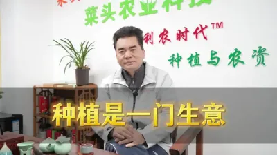 &ldquo;种植就是一门生意。&rdquo; 
江西人把脐橙种植当作一门生意，在种植技术、果品后 加工、果品销售、品牌打造等方面走在全国前列，值得学习。
既然是做生意，种植户就得把握市场规律，懂趋势、抓机会，才能赚到钱。
