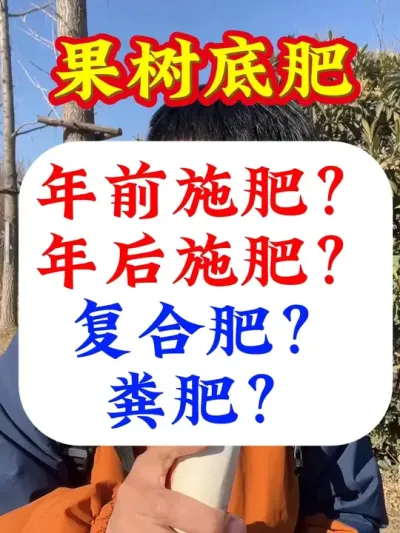 今年暖冬，果树年前施肥好？还是年后开春施肥好？#果树施肥#果树种植 #果树管理 #果树管理技术 #果园管理