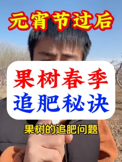 元宵节后，果树春季追肥秘诀 #果树施肥 #果树种植 #果树管理 #促花保果 #果树种植技术交流