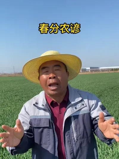 春分农谚 #二十四节气 #春分农谚 #春分好时节