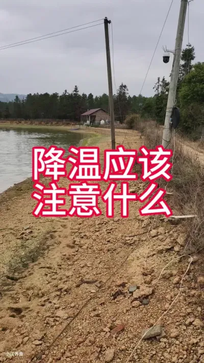 降温前注意事项#水产养殖 #降温