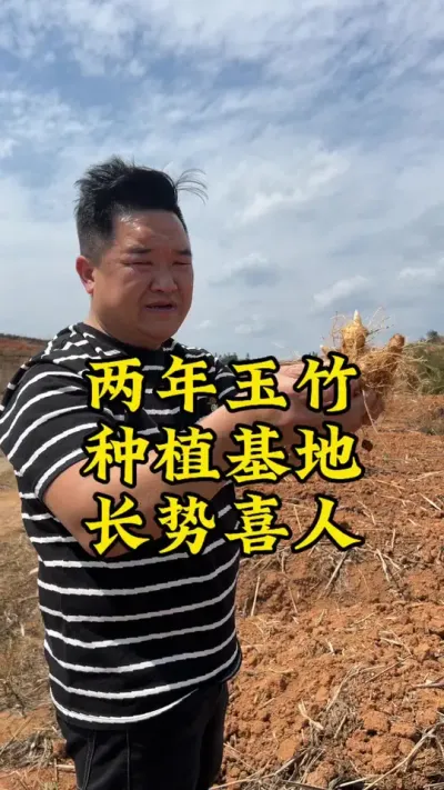 临武两年玉竹种植基地，长势喜人👍👍👍 #药材种植 #玉竹 #种植小技巧 #抖音助农 #中药材