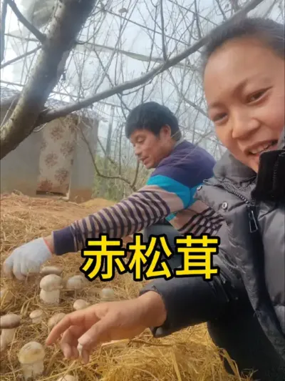 今年钱虽然没赚着，倒也没白干，起码没躺平，普通的人，普通的生活普通过，不期望轰轰烈烈，只希望平凡安稳一生，没有动态的日子，我都在努力搬砖，发动态的日子都在热爱生活，全力以赴是为了生活，生活不是为了钱，