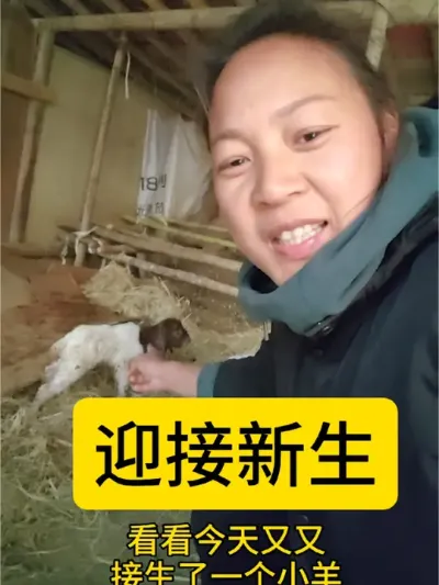 为羊接生，方晓生命之奇奥。于那母羊的阵痛与小羊的挣出间，仿若瞧见人生的曲折小径。
 人至中年，惊觉诸多事物如过眼云烟，可有可无，可去可留。一生如白驹过隙，谈何大彻大悟，不过是在连连失足中点滴觉醒，且行
