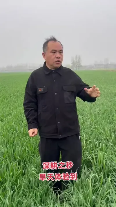 深耕田，小麦当季比较抗旱，下季玉米比较耐涝，真相当于上每亩一吨粪！