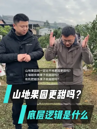 山地果园就一定比水田的果园更甜吗？
土壤越贫瘠果子就越甜吗？
有机肥越多果子就越甜吗？
#农业技术推广 #果树管理技术