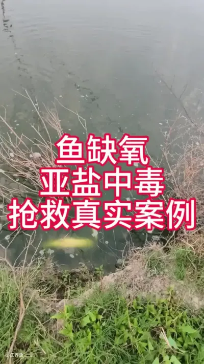 缺氧，亚硝酸盐中毒抢救全过程，视频结尾有抢救效果