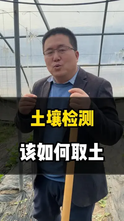 土壤检测，该如何取土 #土壤检测 #测土 #测土配肥 #测土配方施肥 #农业种植