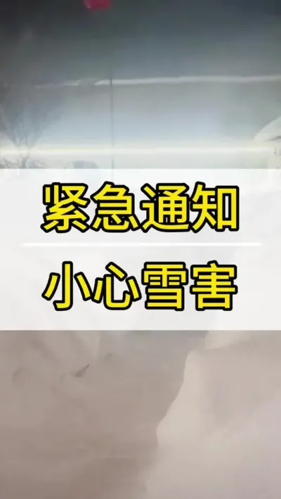 大雪请小心 #葡萄种植技术 #新农人计划2022 #阳光玫瑰葡萄 #抖音助农 #三农