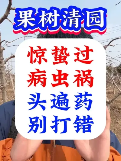 惊蛰过后，果树头遍药千万别打错！#病虫害防治 #果树清园 #果树种植 #果树管理 #果树种植管理