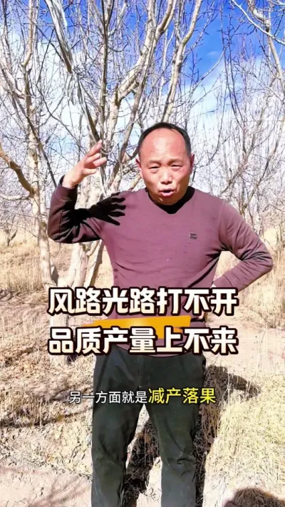 风路光路打不开，品质产量上不来！#果树修剪 #西梅种植#农田行者#农田行者技术服务联盟