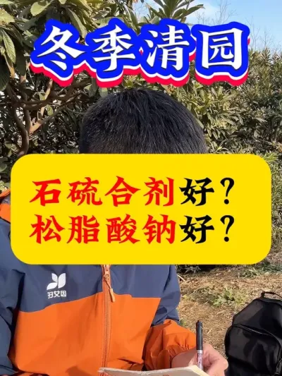 冬季清园，石硫合剂好？还是松脂酸钠好？#病虫害防治 #果树清园#果树管理 #果树种植 #果树管理技术