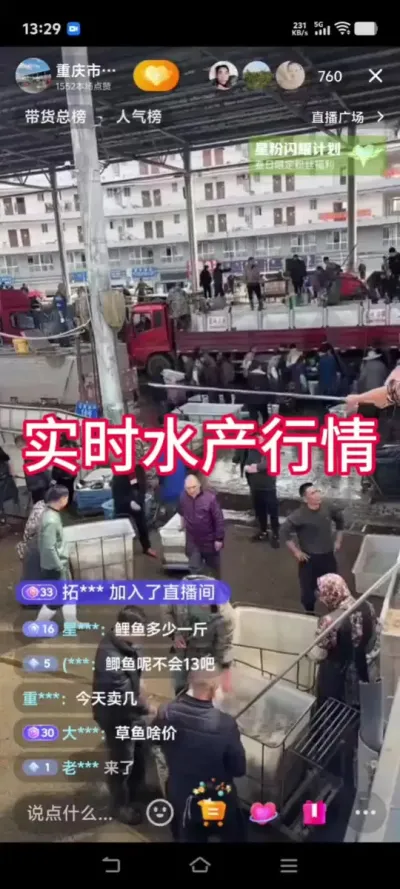 水产人的春天来了#四大家鱼行情