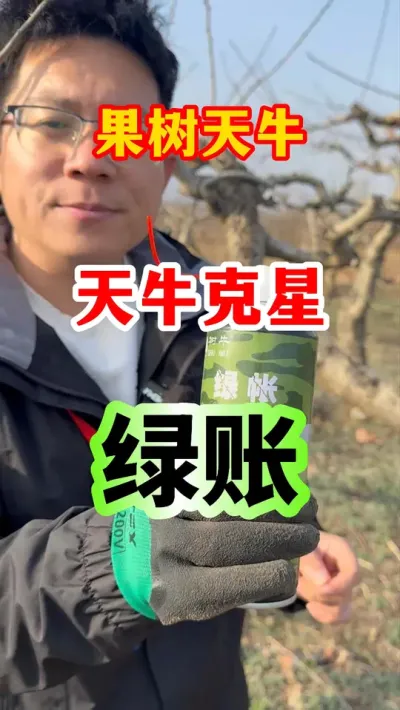 果树天牛轻松防治。 #果树种植 #病虫害防治 #服务三农支持三农  #果园管理   #果树天牛