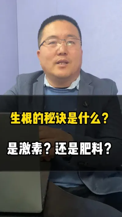 生根的秘诀是什么？是激素？还是肥料？ #生根 #生根壮苗 #促根壮苗 #生根肥 #农业种植