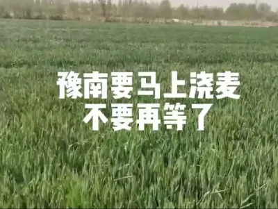 #分享农业知识帮农民增产增收 #传播农业小知识 #抖音助农#农业人话农业
