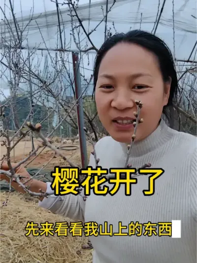 到家第一件事是先到山上看看，肚子饿不饿已经不重要了哈哈哈#我为家乡农产品代言 #新农人计划 #一份耕耘一份收获 #我的乡村生活 #抖音记录农村生活 @抖音小助手